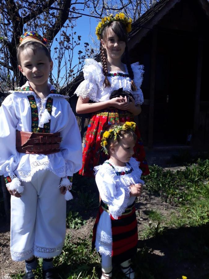 Pensiunea Maria Сигіт Екстер'єр фото